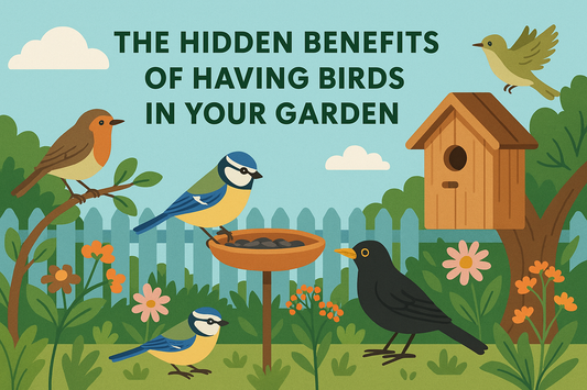 The Hidden Benefits of Having Birds in Your Garden